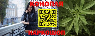 спиды Моздок